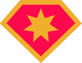 Kids Day Star Badge