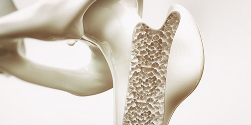 illustration of inside bone