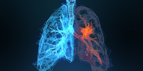 illustration of red and blue lung